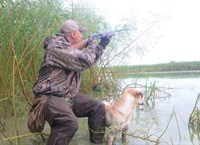 Mississippi Blue Winged Teal Duck Hunting